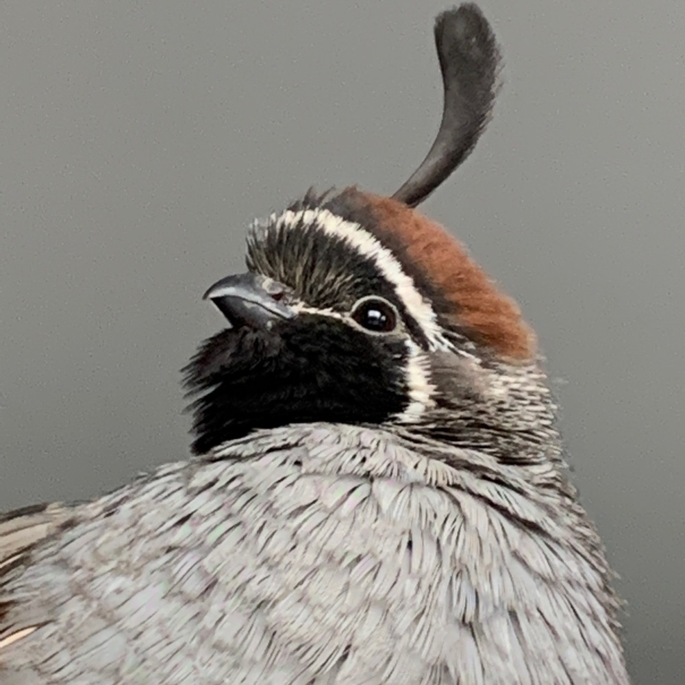Meet your Posher, Beverly